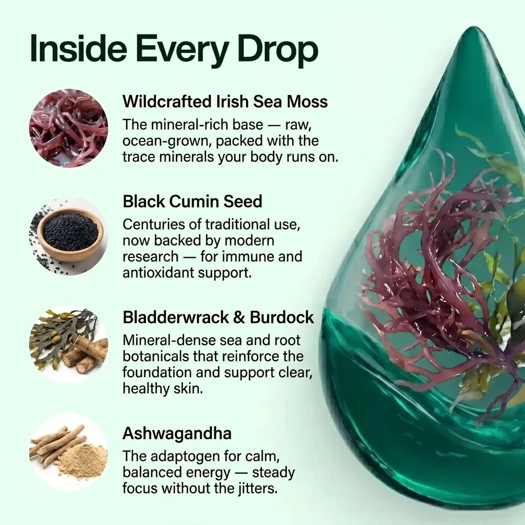 Wildcrafted Sea Moss Drops