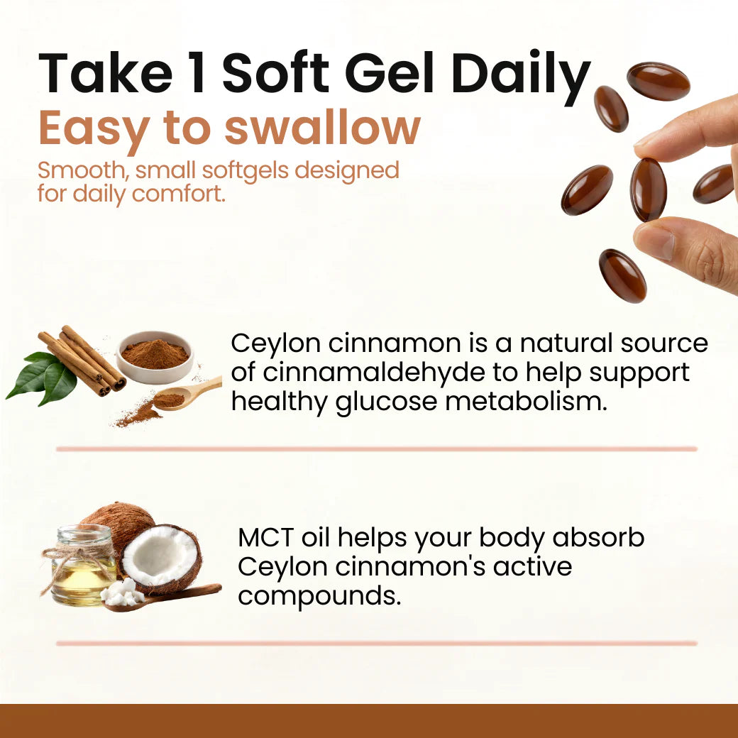 Ceylon Cinnamon 7200mg Equivalent with MCT Oil
